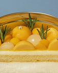Hộp Bánh Exotic Mango Tiramisu Basque Cheese - BAKES SAIGON