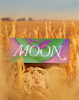 Harvest Moonbox